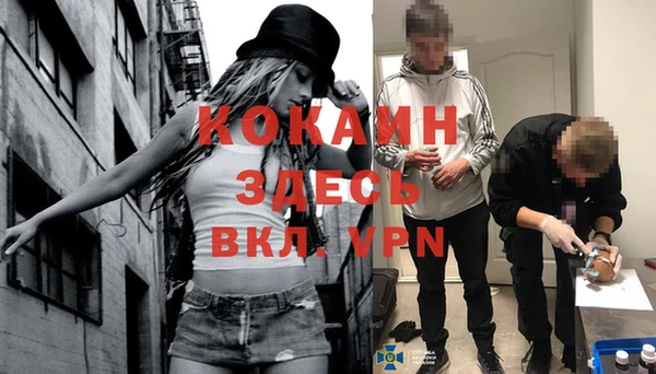 спайс Алексин