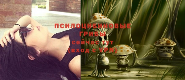 круглые Алзамай
