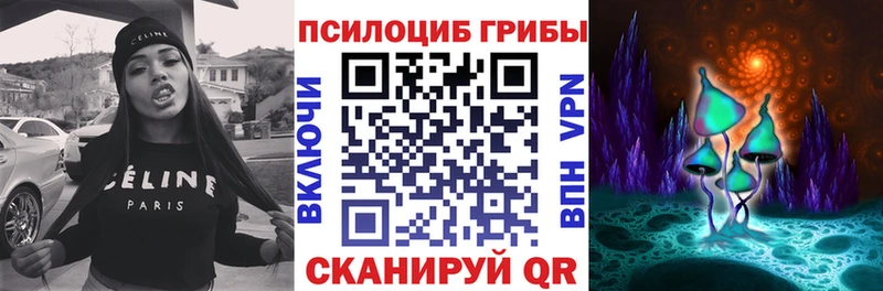ссылка на мегу   Данков  Галлюциногенные грибы мицелий 